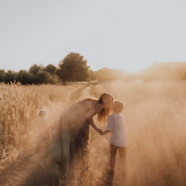 Zboże i zachód słonca